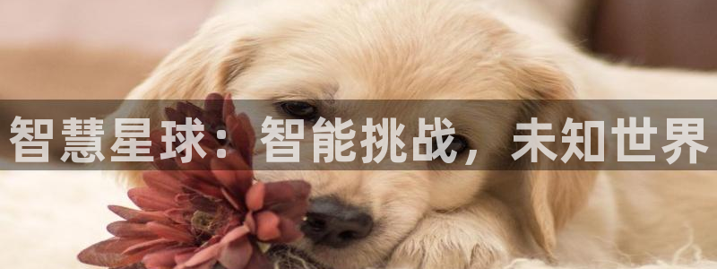 杏悦平台注册地址