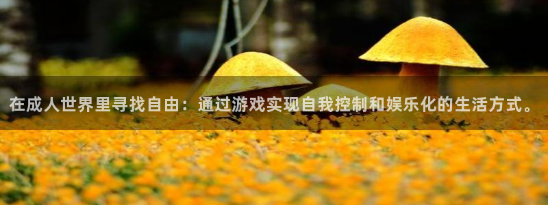 杏悦1登录：在成人世界里寻找自由：通过游戏实现自我控制和娱乐
