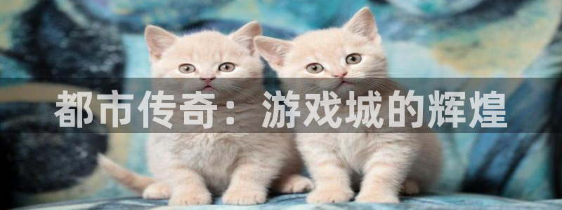 杏悦娱乐注册平台有哪些