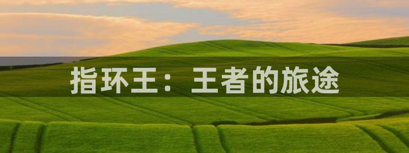 杏悦娱乐注册平台有哪些