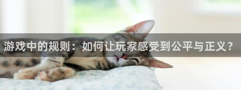 杏悦注册官网：游戏中的规则：如何让玩家感受到公平与正义？