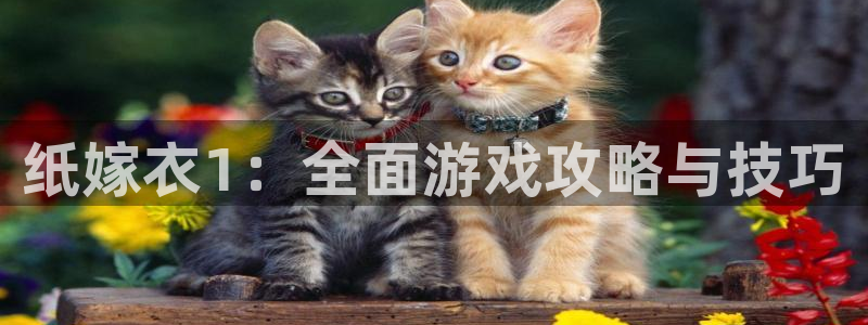 杏悦娱乐代理注册地址：纸嫁衣1：全面游戏攻略与技巧