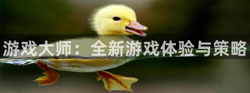 杏悦娱乐是什么app：游戏大师：全新游戏体验与策略