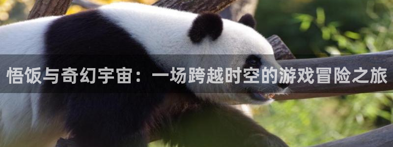 杏悦娱乐注册地址在哪里查：悟饭与奇幻宇宙：一场跨越时空的游戏
