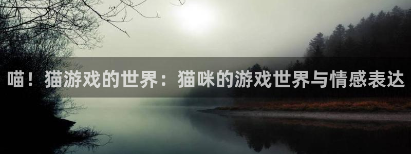 杏悦平台注册要钱吗：喵！猫游戏的世界：猫咪的游戏世界与情感表
