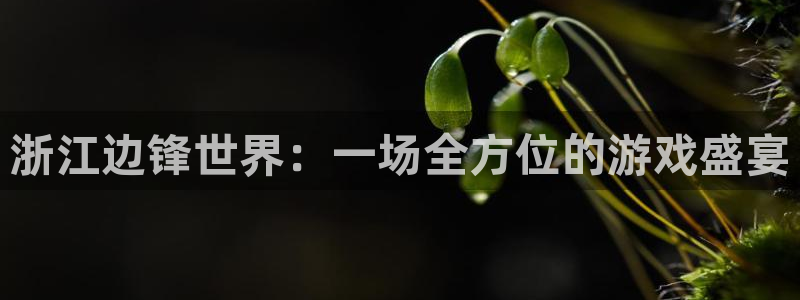 杏悦平台注册流程：浙江边锋世界：一场全方位的游戏盛宴