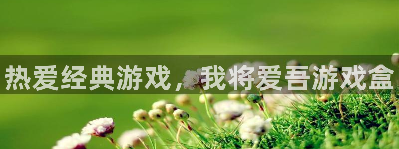 杏悦娱乐代理日最新版本更新内容：热爱经典游戏，我将爱吾游戏盒