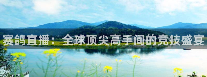 山猫 体育：赛鸽直播：全球顶尖高手间的竞技盛宴