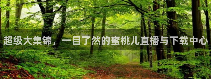 山猫直播体育：超级大集锦，一目了然的蜜桃儿直播与下载中心