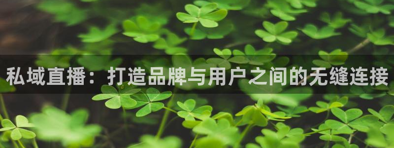 山猫nba体育直播：私域直播：打造品牌与用户之间的无缝连接