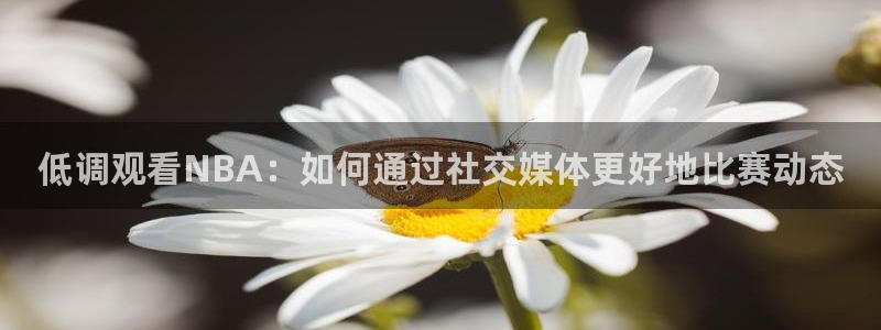 山猫体育赛事免费直播：低调观看NBA：如何通过社交媒体更好地比赛动态