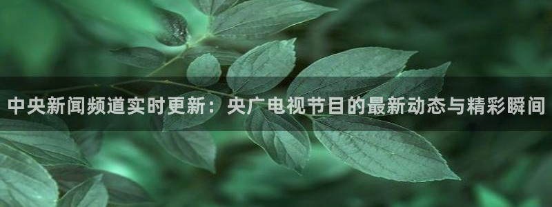 山猫体育免费在线直播：中央新闻频道实时更新：央广电视节目的最新动态与精彩瞬间