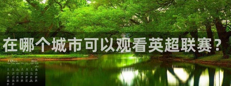 山猫免费直播体育nba：在哪个城市可以观看英超联赛？