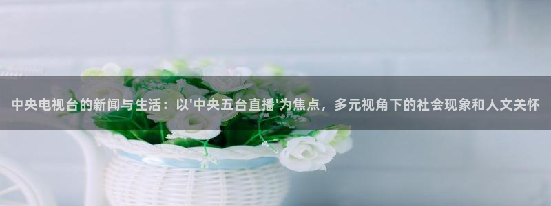 山猫直播在线观看：中央电视台的新闻与生活：以\'中央五台直播\'为焦点，多元视角下的社会现象和人文关怀