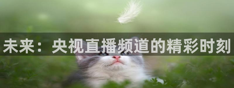 山猫直播在线观看：未来：央视直播频道的精彩时刻
