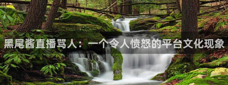 山猫足球直播体育免费观看：黑尾酱直播骂人：一个令人愤怒的平台文化现象